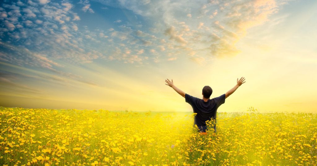 Man in yellow field