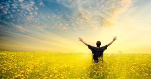 Man in yellow field