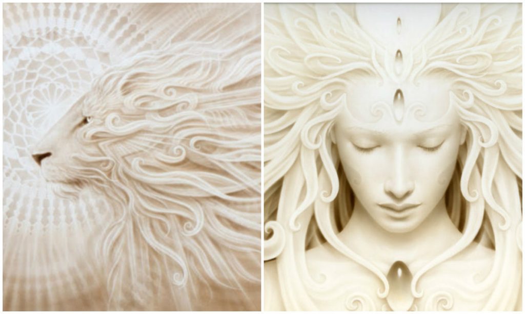 Collagelion2
