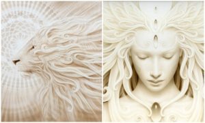 Collagelion2